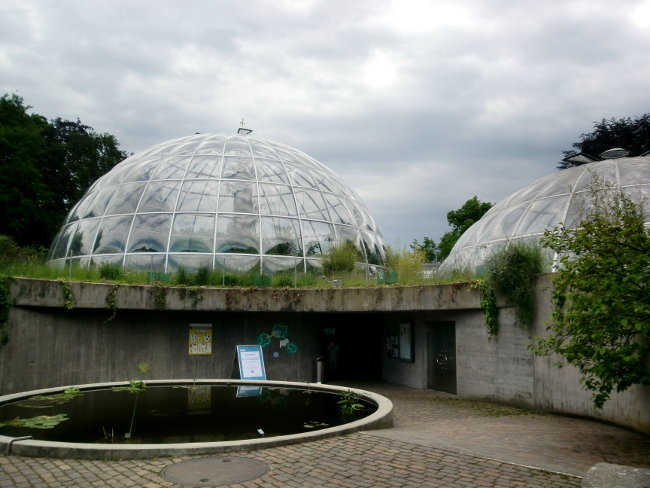 Jardín Botánico de Zúrich